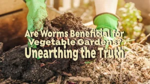 are worms beneficial for vegetbale gardens