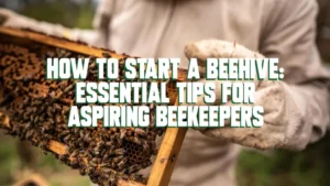 How to Start a Beehive Essential Tips for Aspiring Beekeepers