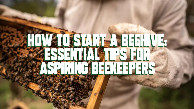 How to Start a Beehive: Essential Tips for Aspiring Beekeepers