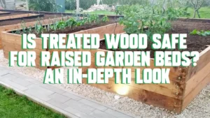 10-Is Treated Wood Safe for Raised Garden Beds An In-Depth Look