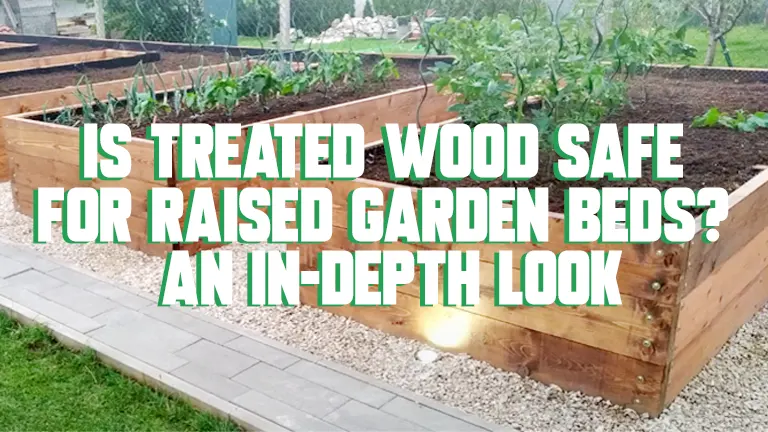 Is Treated Wood Safe for Raised Garden Beds? An In-Depth Look