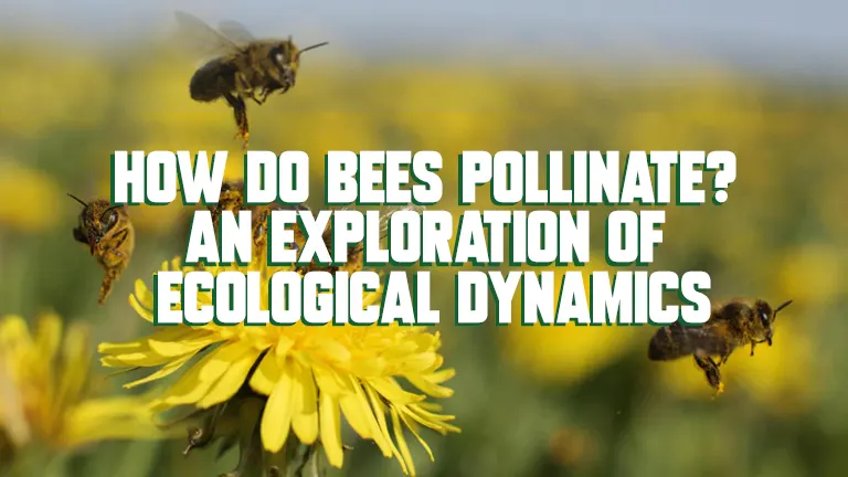 How Do Bees Pollinate? An Exploration of Ecological Dynamics