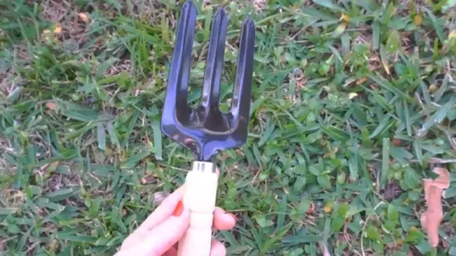 Weeding Fork