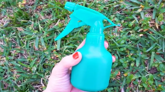 The Watering Spray Bottle