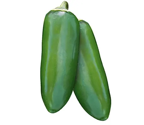 gigante jalapeno