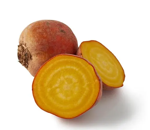 Golden Beet: