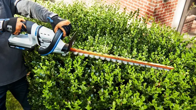 Person skillfully trimming a lush green bush with an electric hedge trimmer during daytime in a residential area