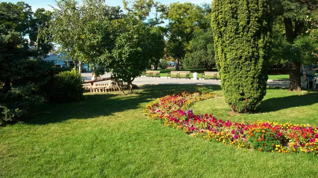 Vibrant park with colorful flowers, green trees, and benches under a clear sky