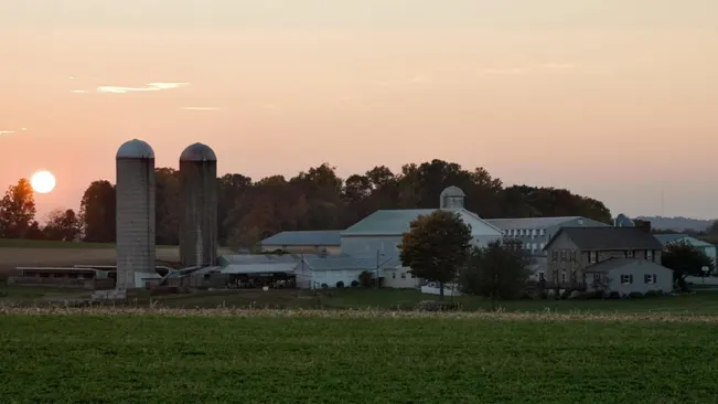 Serene farm landscape at sunset with silos, buildings, and a lush field