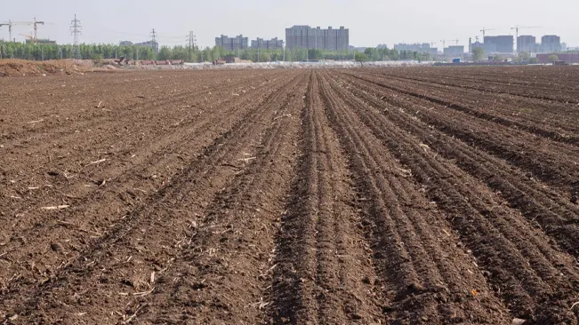 Plowed agricultural field with cityscape in the background