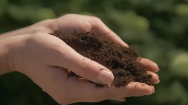Two hands holding a handful of rich, dark brown soil with a blurred greenery in the background