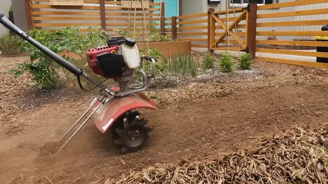 A red and black tiller cultivating soil in a garden with a wooden fence in the background