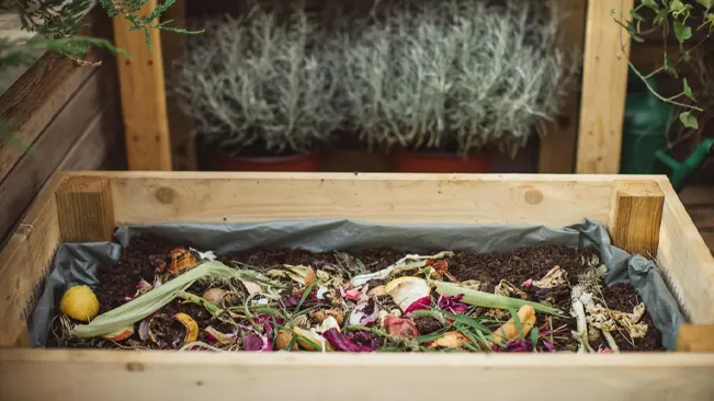 Compost bin on patio