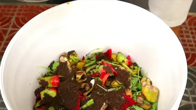 Bowl of vegetables and soil
