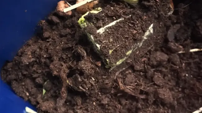 Pile of dirt in container