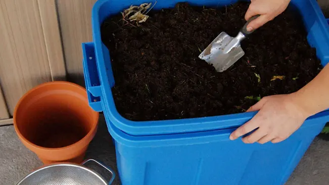 Person working with soil in blue container