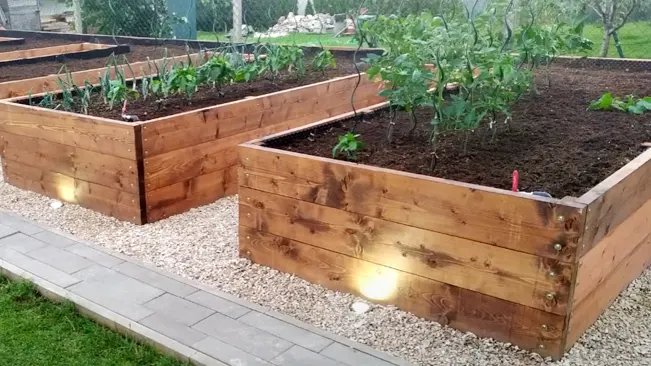Is Treated Wood Safe for Raised Garden Beds? An In-Depth Look