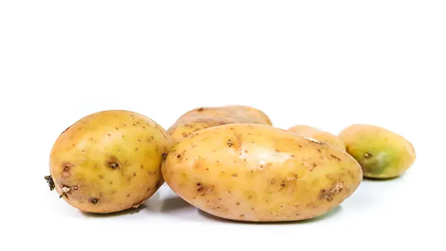 Katahdin Potatoes