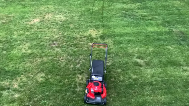 Red lawn mower cutting grass.