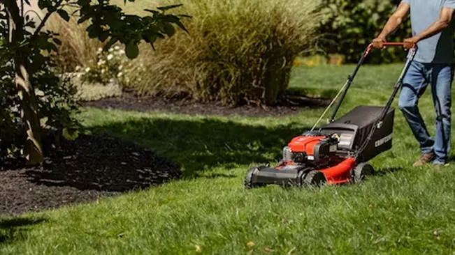 person mowing a lush green lawn with a red and black lawnmower in a sunny weather