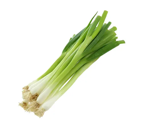 leeks