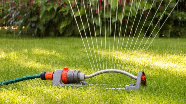 An oscillating sprinkler watering a lush green lawn with a spray of water droplets in the sunlight.