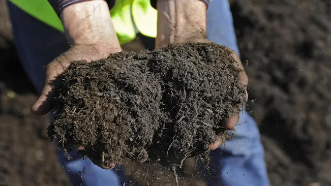 Mixing Peat Moss with Garden Soil