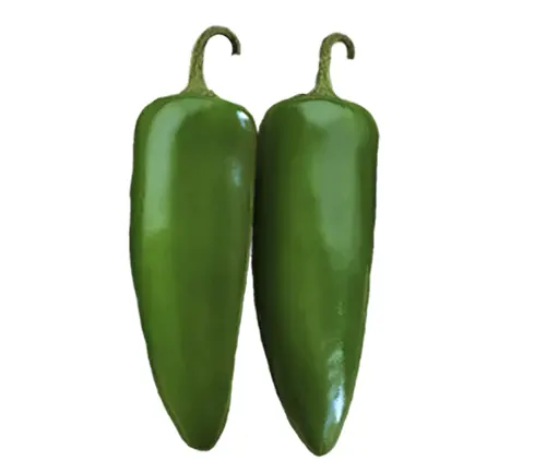 mucho nacho jalapeno