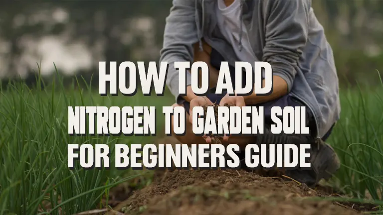 How to Add Nitrogen to Garden Soil: Beginners Guide