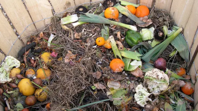 Food scraps for composting