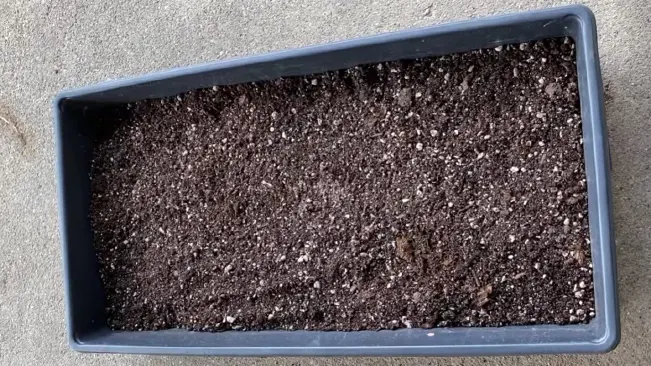 A rectangular planter filled with soil