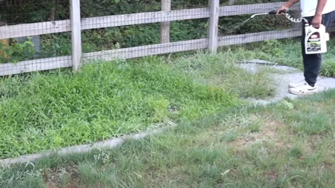 Person using a weed sprayer on overgrown grass near a wooden fence.