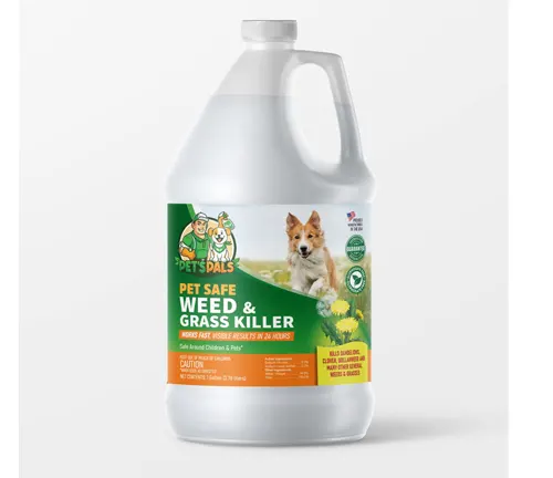 large, white, plastic gallon jug of “Pet Safe Weed & Grass Killer