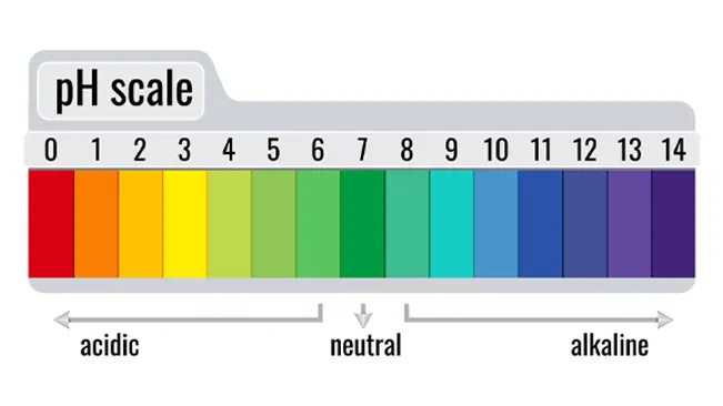 A pH scale graphic ranging from 0 (acidic) to 14 (alkaline) with a neutral point at 7, represented by a color gradient from red (acidic) to purple (alkaline).
