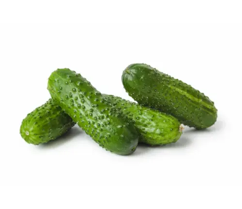 Pickling Cucumber