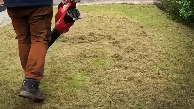 A person walking with a red leaf blower next to a patch of grass with scattered cuttings.