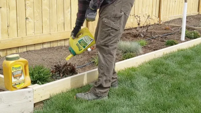 applying Preen Garden Weed Preventer from a yellow container