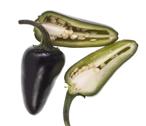 purple jalapeno