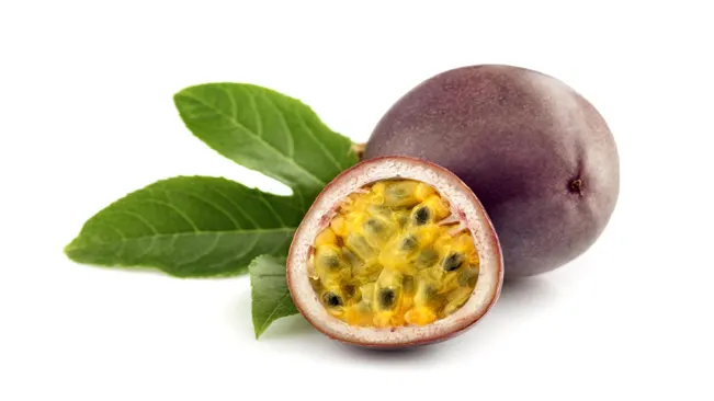 Purple Passion Fruit (Passiflora edulis)