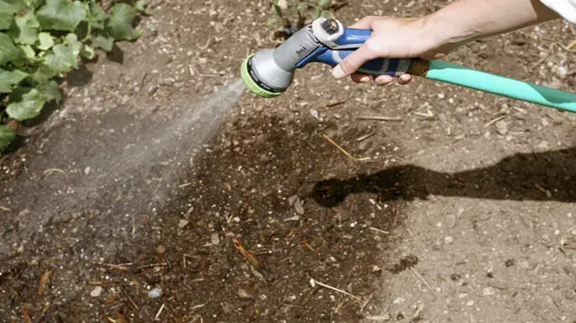 Hand holding a garden hose with a spray nozzle watering freshly sown seeds in soil