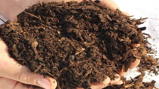 Hands holding rich organic compost