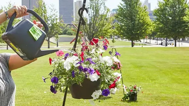 Person watering flowers in city park.