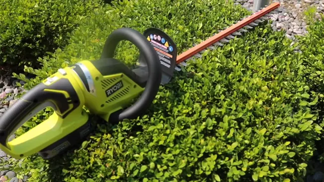 Ryobi hedge trimmer resting on a neatly trimmed bush