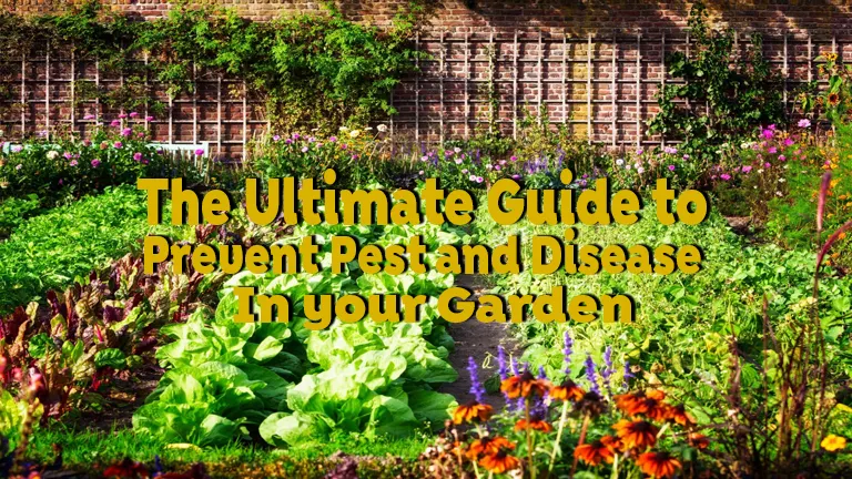 Ultimate Guide to Preventing Pests and Diseases in Your Garden