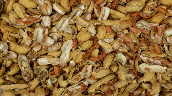 Shelling Peanuts