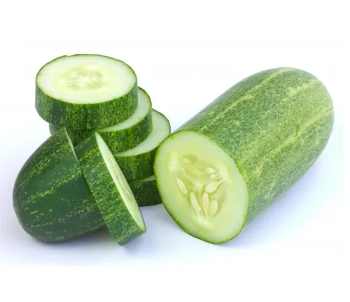 Slicing Cucumber