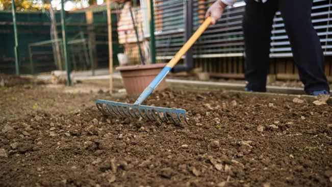 Soil Requirements for Onions