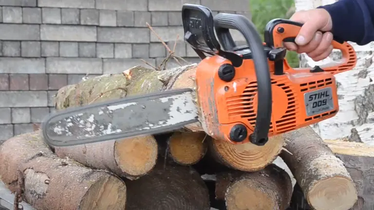 Person holding STIHL 009 with Logs in the background