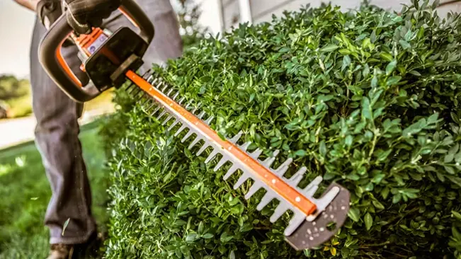 Person using an electric hedge trimmer to shape a green bush in a residential area
