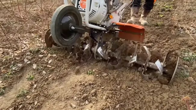 Person using a motorized tiller on dry soil